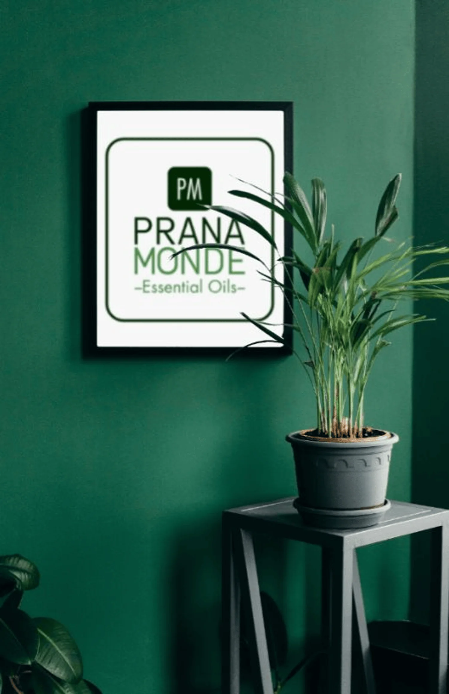 Prana Monde brand interior